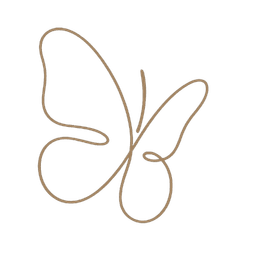 butterfly decor top left